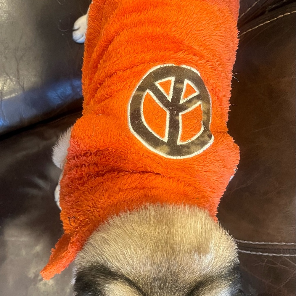 Cute Orange Dog Sweater with Peace Symbol
